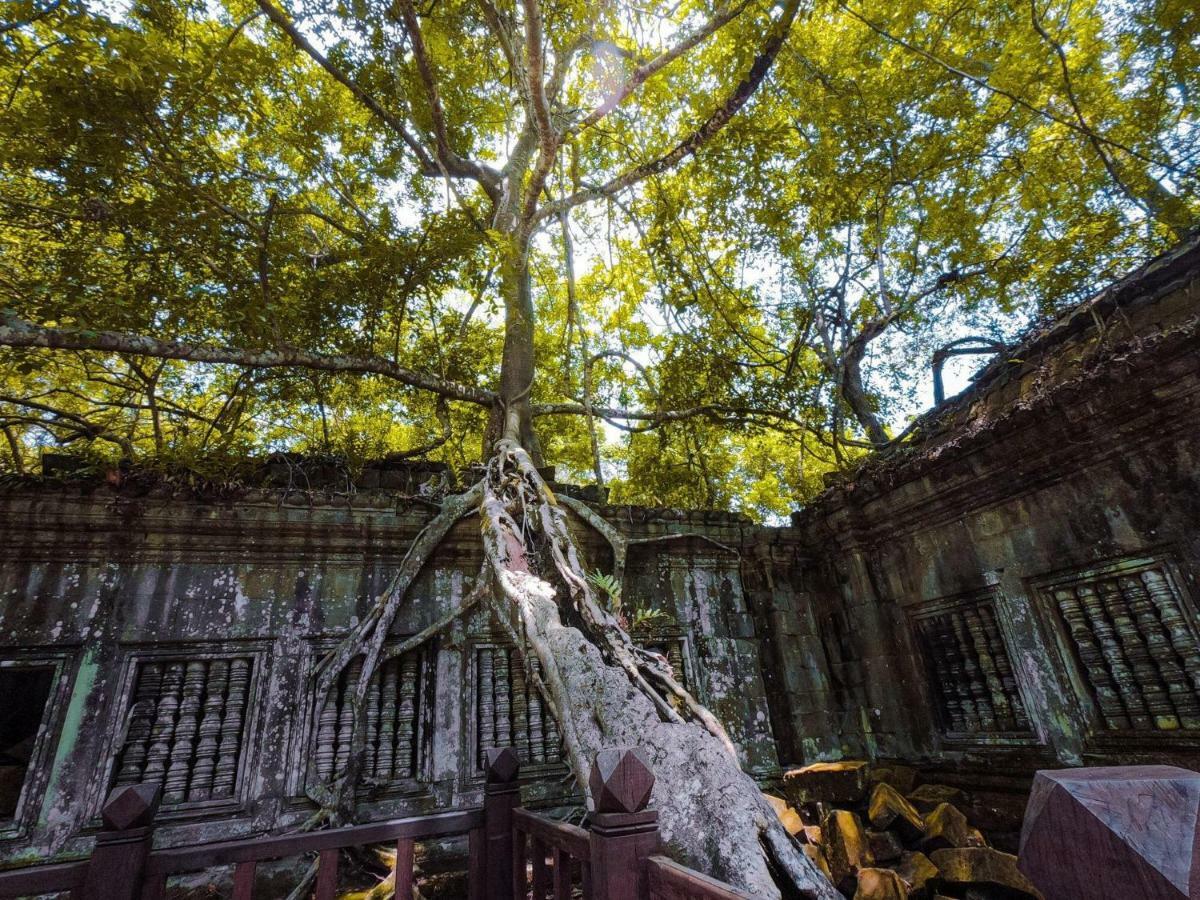 Anachak Angkor Residence Siem Reap Eksteriør bilde